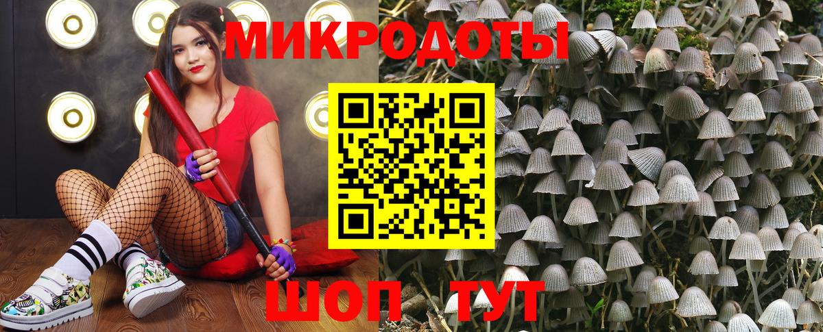 Псилоцибиновые грибы MAGIC MUSHROOMS Ливны