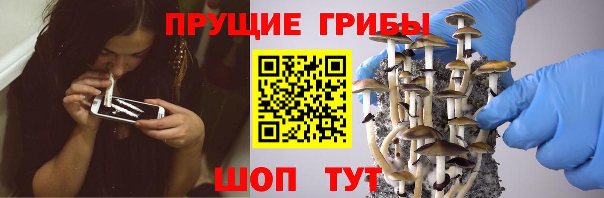Ливны  Галлюциногенные грибы MAGIC MUSHROOMS  Галлюциногенные грибы мухоморы  Вход с VPN 